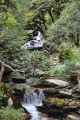 09-066 Ghorepani-Tadapani