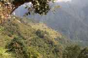 10-047 Tadapani-Chomrong