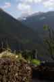 11-010 Chomrong-Himalaya