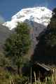 11-019 Chomrong-Himalaya