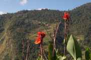 11-021 Chomrong-Himalaya