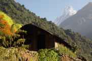 11-024 Chomrong-Himalaya