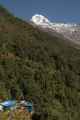 11-028 Chomrong-Himalaya