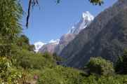 11-037 Chomrong-Himalaya
