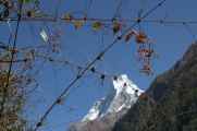 11-040 Chomrong-Himalaya