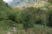 11-046 Chomrong-Himalaya