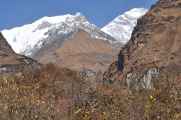 12-041 Himalaya-MBC