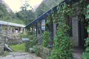 15-005 Bamboo-Jinua