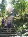 15-022 Bamboo-Jinua