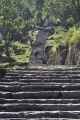 15-024 Bamboo-Jinua