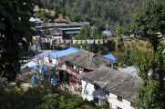 15-029 Bamboo-Jinua