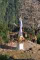 15-039 Bamboo-Jinua