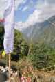 15-041 Bamboo-Jinua