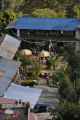 15-043 Bamboo-Jinua