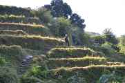 16-034 Jinua-Pothana