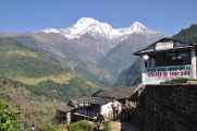 16-039 Jinua-Pothana