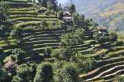 16-040 Jinua-Pothana