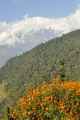 16-046 Jinua-Pothana