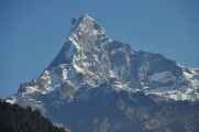 17-004 Pothana-Phedi