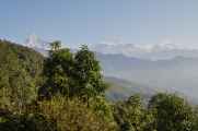 17-006 Pothana-Phedi