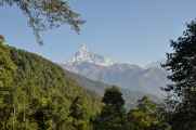 17-007 Pothana-Phedi