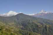 17-009 Pothana-Phedi