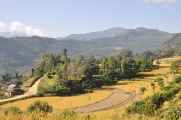 17-023 Pothana-Phedi
