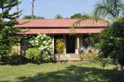 19-004 Chitwan