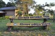 19-010 Chitwan