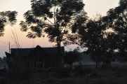 19-017 Chitwan