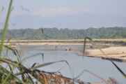 20-011 Chitwan