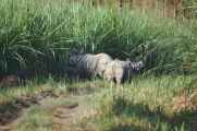 20-012 Chitwan