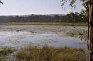 20-015 Chitwan