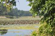 20-018 Chitwan