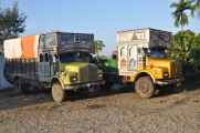 21-001 Chitwan