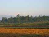 21-004 Chitwan