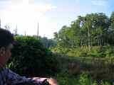 21-009 Chitwan