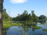 21-014 Chitwan