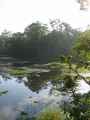 21-015 Chitwan