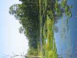 21-016 Chitwan