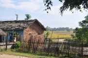 21-025 Chitwan