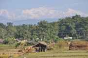 21-026 Chitwan