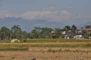 21-034 Chitwan