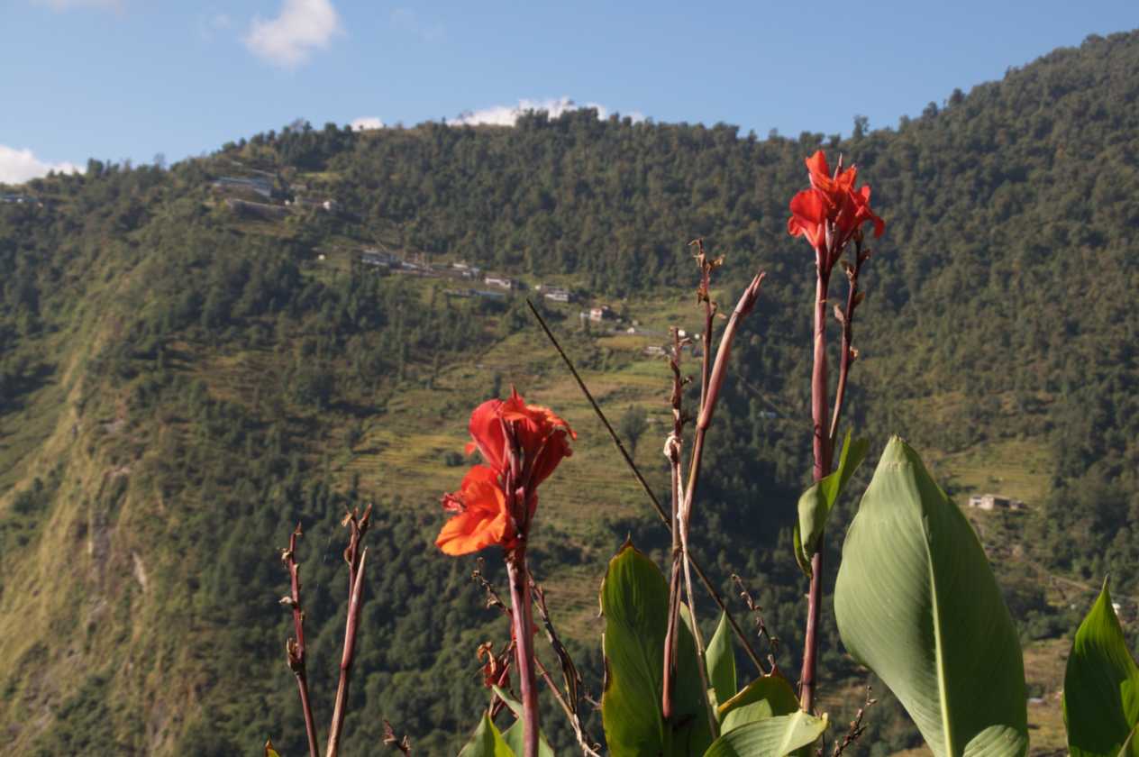 11-021 Chomrong-Himalaya