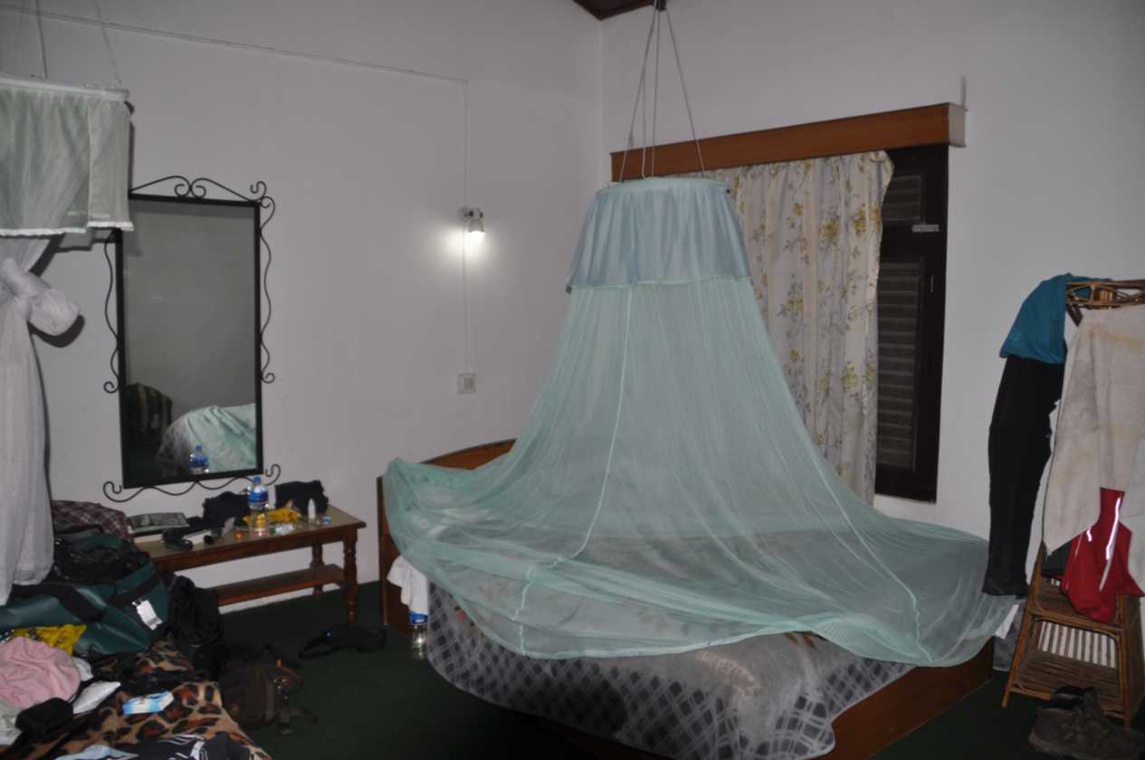 20-053 Chitwan