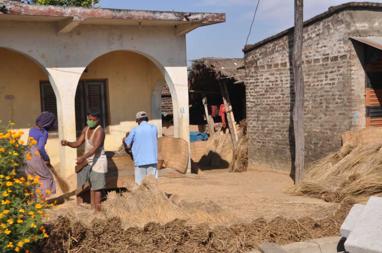 21-031 Chitwan