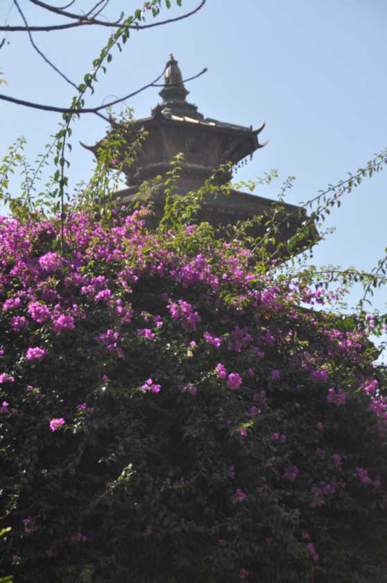 23-008 Patan