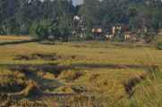 21-006 Chitwan
