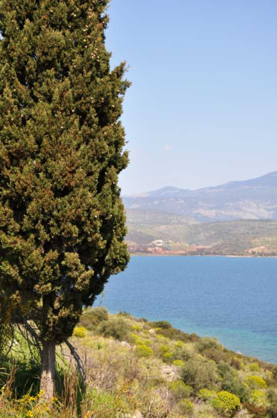 126 Griekenland mrt 2010