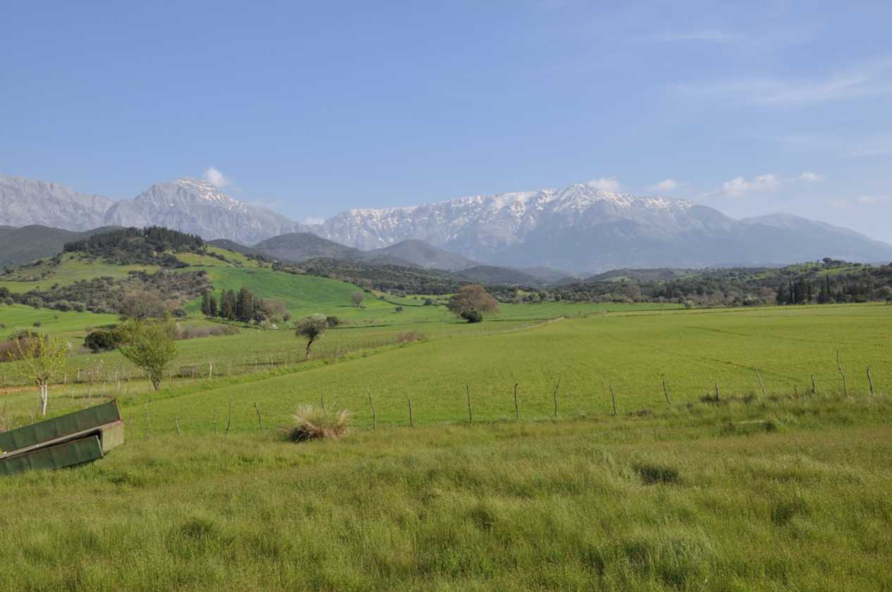 142 Griekenland mrt 2010